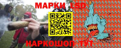 спиды Кингисепп