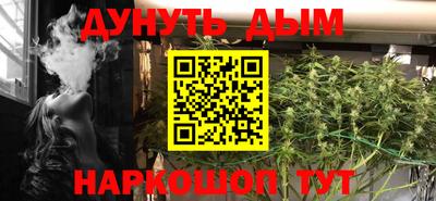 спиды Кингисепп