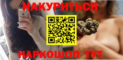 спиды Кингисепп
